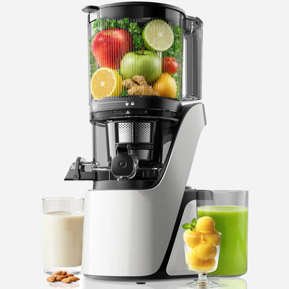 C16 3-in-1 Multi-Function Juicer