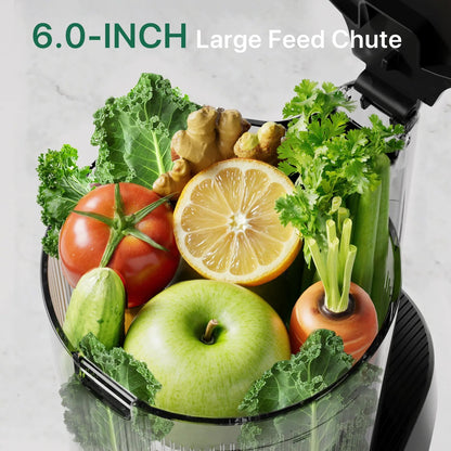 C16 3-in-1 Multi-Function Juicer