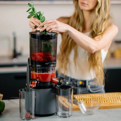 C16 3-in-1 Multi-Function Juicer