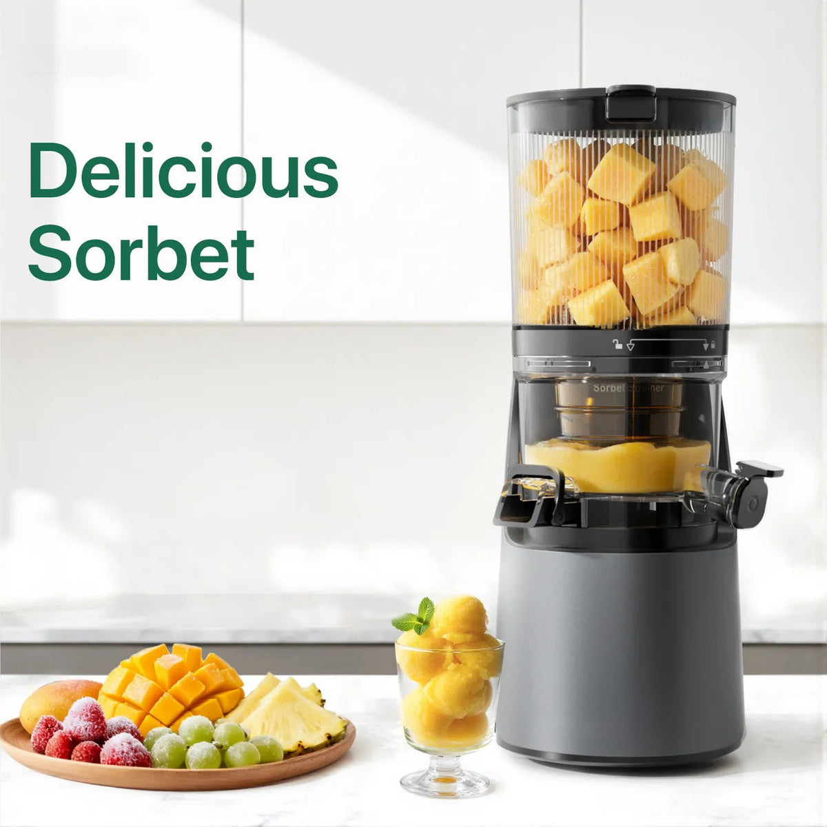 C16 3-in-1 Multi-Function Juicer
