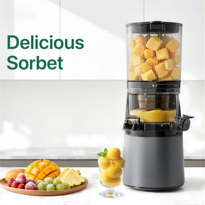 C16 3-in-1 Multi-Function Juicer