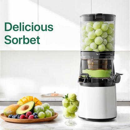 C16 3-in-1 Multi-Function Juicer
